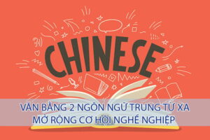 Văn bằng thứ 2 ngành Ngôn ngữ Trung